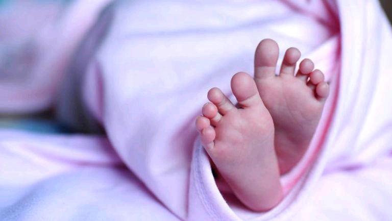 Baby s feet 768x433