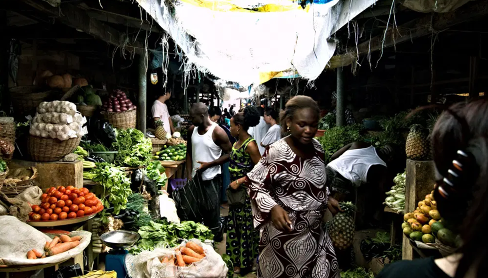 023F67A1 35CD 4D01 8617 6ED4C381356B