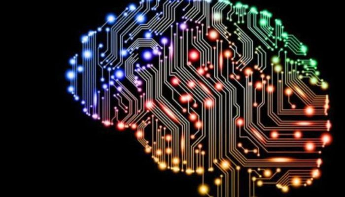 Your paragraph text African countries with high IQ