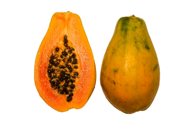 Papaya cross section bnc