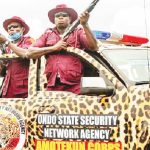 Amotekun combat ready