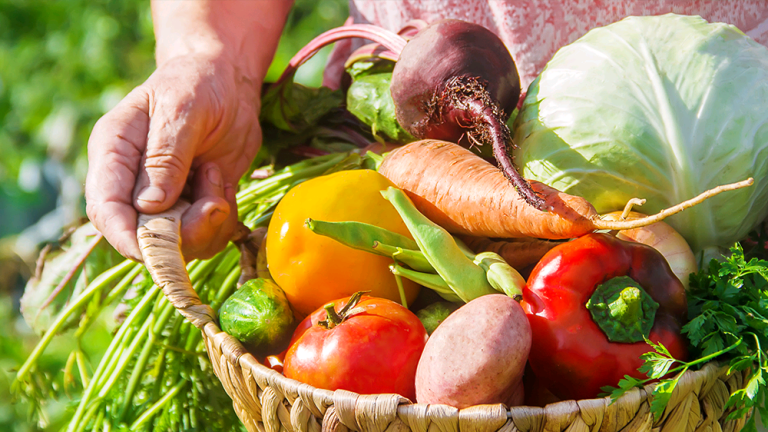 1057512491 2 768x432