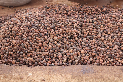 Img 6884 edit 6a2ea0b8 8e08 4f6a 8180 17ff5d6e3d5c 480x480