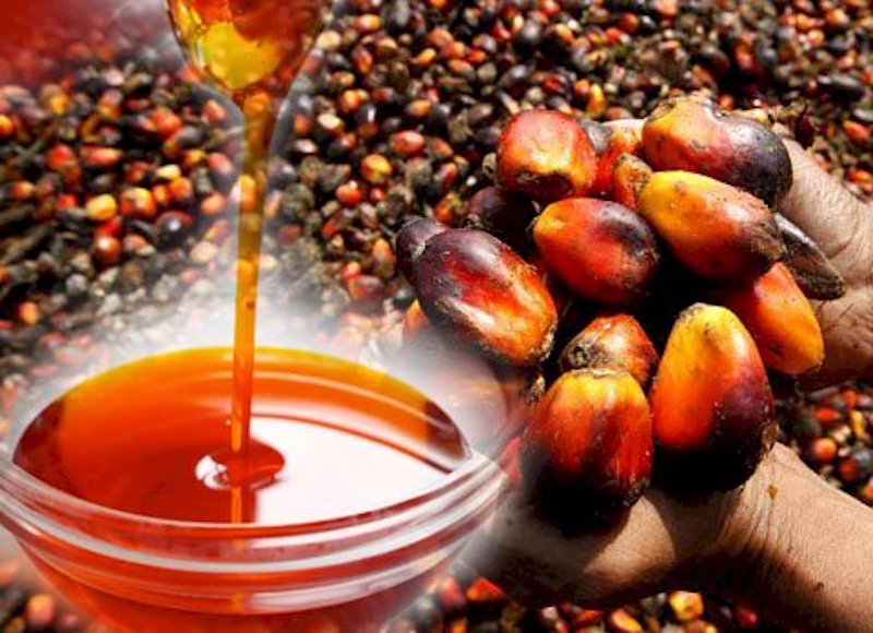 Palm oil