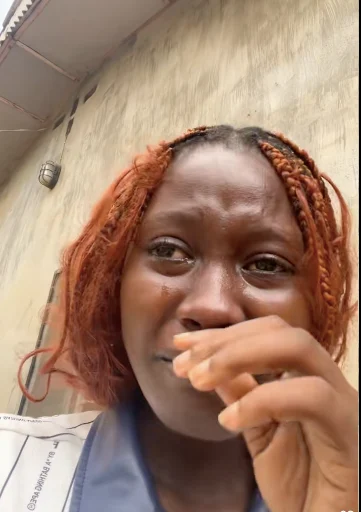 Screenshot 2026 02 17 at 13.34.06