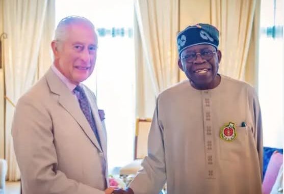 FB IMG 1773635865152 557x381