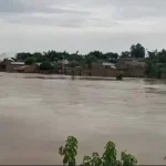 WhatsApp Image 2025 08 15 at 15.23.59 8d96bc91 768x433