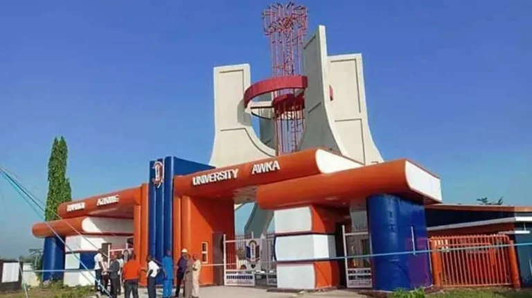 List of courses offered in UNIZIK 1784222514 768x430