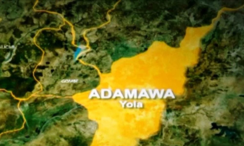 Adamawa 1000x600